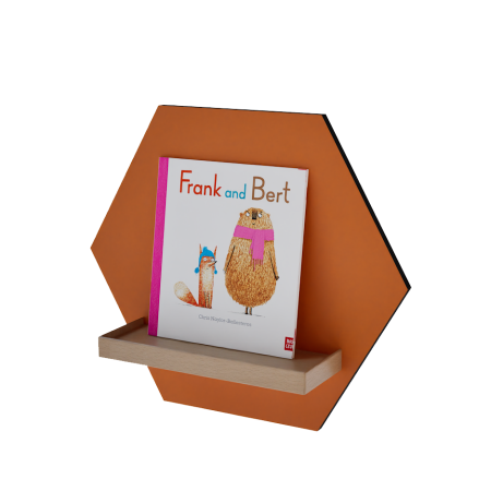 SALE Honeycomb Wall Displayer (Orange)